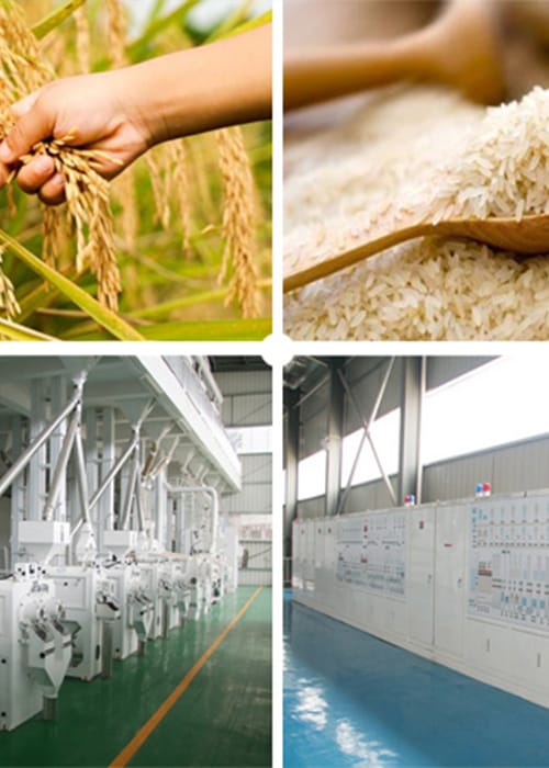 Rice Mills